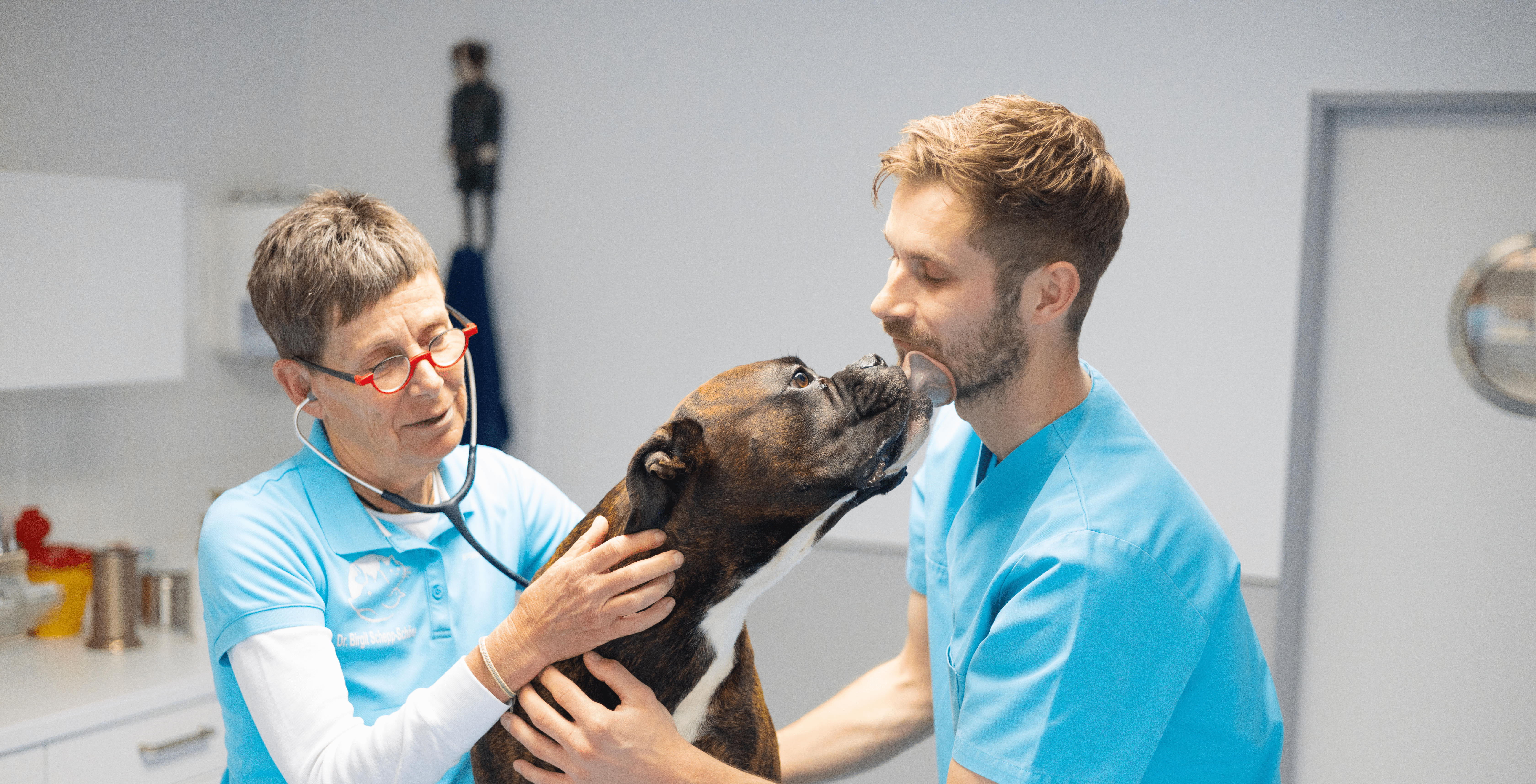 In einer Tierarztpraxis untersucht eine Tierärztin mit Stethoskop einen Boxer.